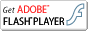 �ŐV��Flash Player���_�E�����[�h