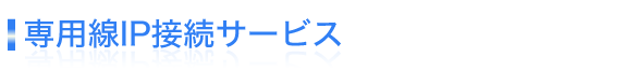 専用線IP接続サービス