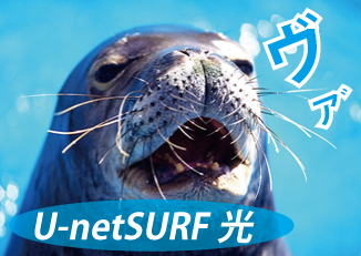 U-netSURF光は、NTT東日本／NTT西日本が提供する最大1Gbpsの光回線サービス（フレッツ光ネクスト）とインターネット接続サービスをセットで提供。光コラボレーションモデル。