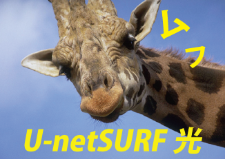 U-netSURF光は、NTT東日本／NTT西日本が提供する最大1Gbpsの光回線サービス（フレッツ光ネクスト）とインターネット接続サービスをセットで提供。光コラボレーションモデル。