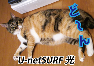 U-netSURF́ANTT{^NTT{񋟂ő1GbpšT[rXitbclNXgjƃC^[lbgڑT[rXZbgŒ񋟁BR{[VfB
