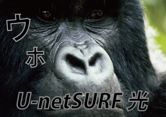 U-netSURF́ANTT{^NTT{񋟂ő1GbpšT[rXitbclNXgjƃC^[lbgڑT[rXZbgŒ񋟁BR{[VfB