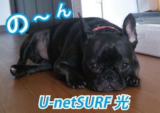 U-netSURF́ANTT{^NTT{񋟂ő1GbpšT[rXitbclNXgjƃC^[lbgڑT[rXZbgŒ񋟁BR{[VfB